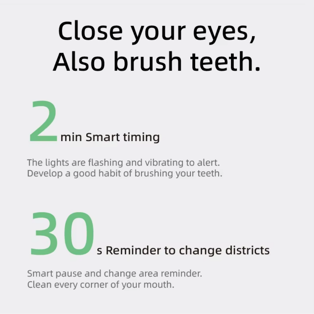 Oscillating Electric Toothbrush